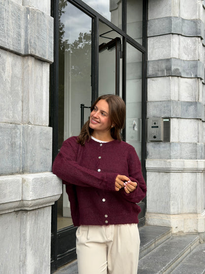 CARDIGAN LÉO PRUNE