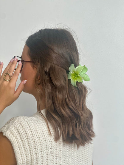 PINCES FLEUR 🌸
